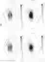 Fig. 06 - Contact combustion type hydrogen sensor and method for manufacturing same