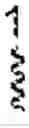 Fig. 02 - CYCLODEXTRIN PROTEIN DRUG CONJUGATES
