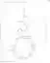 Fig. 586 - CYCLODEXTRIN PROTEIN DRUG CONJUGATES