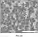 Fig. 33 - NON-FLAMMABLE POLYMERIC ELECTROLYTE WITH WIDE OPERATIONAL TEMPERATURE RANGE