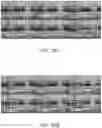 Fig. 43 - NON-FLAMMABLE POLYMERIC ELECTROLYTE WITH WIDE OPERATIONAL TEMPERATURE RANGE