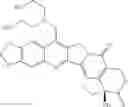 Fig. 197 - Camptothecin conjugates