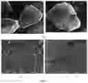 Fig. 05 - METHOD FOR OBTAINING A GRANULATED FOOD MATERIAL