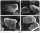 Fig. 06 - METHOD FOR OBTAINING A GRANULATED FOOD MATERIAL