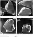 Fig. 08 - METHOD FOR OBTAINING A GRANULATED FOOD MATERIAL