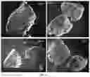 Fig. 10 - METHOD FOR OBTAINING A GRANULATED FOOD MATERIAL