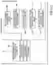 Fig. 35 - MANAGEMENT OF MEDICATION PREPARATION WITH DYNAMIC PROCESSING