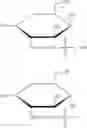 Fig. 28 - COMBINATION OF POLYETHYLENE GLYCOL AND RAPAMYCIN AND USE THEREOF