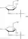 Fig. 31 - COMBINATION OF POLYETHYLENE GLYCOL AND RAPAMYCIN AND USE THEREOF