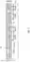 Fig. 08 - Info packages including thermal dissipation blocks