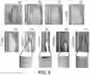 Fig. 04 - TRANSGENIC MAIZE EVENT MON 87427 AND THE RELATIVE DEVELOPMENT SCALE
