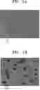 Fig. 06 - ELECTRICAL PROPERTY MEASURING DEVICE INCLUDING NON-UNIFORM MICROCHANNELS