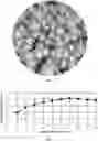 Fig. 06 - Tree crown extraction method based on unmanned aerial vehicle multi-source remote sensing