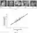 Fig. 09 - Tree crown extraction method based on unmanned aerial vehicle multi-source remote sensing