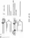 Fig. 02 - COMPOSITIONS, METHODS, AND SYSTEMS FOR GENOME EDITING TECHNOLOGY