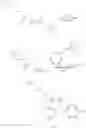 Fig. 122 - 1′-cyano nucleoside analogs and uses thereof