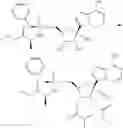 Fig. 134 - 1′-cyano nucleoside analogs and uses thereof