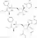 Fig. 135 - 1′-cyano nucleoside analogs and uses thereof