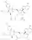 Fig. 245 - 1′-cyano nucleoside analogs and uses thereof
