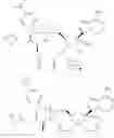 Fig. 246 - 1′-cyano nucleoside analogs and uses thereof