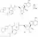 Fig. 250 - 1′-cyano nucleoside analogs and uses thereof