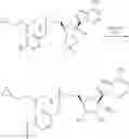 Fig. 257 - 1′-cyano nucleoside analogs and uses thereof