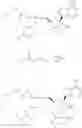 Fig. 324 - 1′-cyano nucleoside analogs and uses thereof