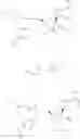 Fig. 336 - 1′-cyano nucleoside analogs and uses thereof