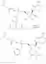 Fig. 348 - 1′-cyano nucleoside analogs and uses thereof