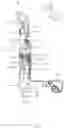 Fig. 06 - Robot hand module