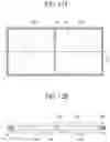 Fig. 12 - Display apparatus