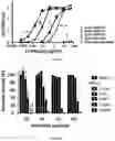 Fig. 02 - ANTIBODIES HAVING SPECIFICITY TO HER4 AND USES THEREOF
