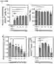 Fig. 331 - Efficient TCR gene editing in T lymphocytes