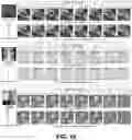 Fig. 20 - QUERY OPTIMIZATION FOR DEEP CONVOLUTIONAL NEURAL NETWORK INFERENCES