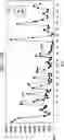 Fig. 07 - METHODS AND SYSTEMS FOR ESTIMATING MOTION IN MULTIMEDIA PICTURES