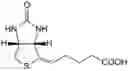 Fig. 01 - Methods and compositions for delivery of biotin to mitochondria