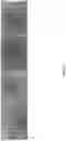 Fig. 09 - Methods and compositions for delivery of biotin to mitochondria