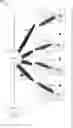 Fig. 01 - HIGH SPEED BEAM MANAGEMENT