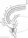 Fig. 08 - OSTIAL STENT DELIVERY DEVICE, SYSTEM, AND METHOD