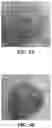 Fig. 03 - PHARMACEUTICAL COMPOSITIONS COMPRISING PERILLYL ALCOHOL DERIVATIVES