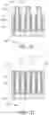 Fig. 06 - Self-aligned air spacers and methods for forming