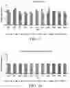 Fig. 07 - USE OF 5-METHYLTETRAHYDROFOLATE