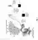 Fig. 08 - Method and apparatus for providing transcranial magnetic stimulation (TMS) to an individual