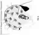 Fig. 09 - Method and apparatus for providing transcranial magnetic stimulation (TMS) to an individual