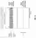 Fig. 11 - Method and apparatus for providing transcranial magnetic stimulation (TMS) to an individual