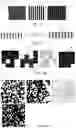 Fig. 04 - Security Device with Chaosmetric Artifacts from Fractal Patterns