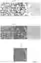 Fig. 07 - Security Device with Chaosmetric Artifacts from Fractal Patterns