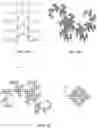 Fig. 09 - Security Device with Chaosmetric Artifacts from Fractal Patterns