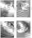 Fig. 06 - Processed cheese with cultured dairy components and method of manufacturing