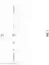 Fig. 02 - DETECTION OF MEMORY ACCESSES